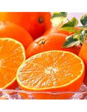 Amazon.co.jp: 希望の島 中島まどんな 家庭用 サイズ込 紅まどんなと同